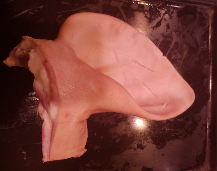 0be4b4449fc75e9eac412435c414059a47a2fa13