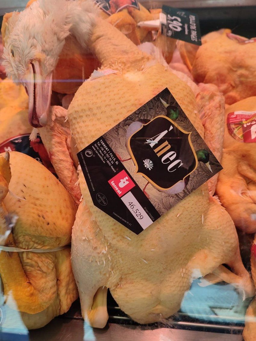 fd3dd430c0607042fd6a3df7266f1254885e9a05