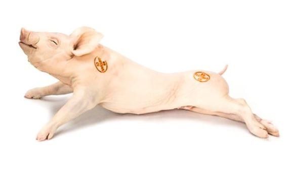 301adae23a006108ef2e2e58bd32c1560e3ca6b0