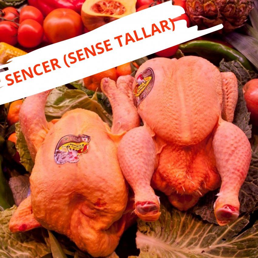 4a326190d07fbaead898de8f82fd0c9caf9fe676