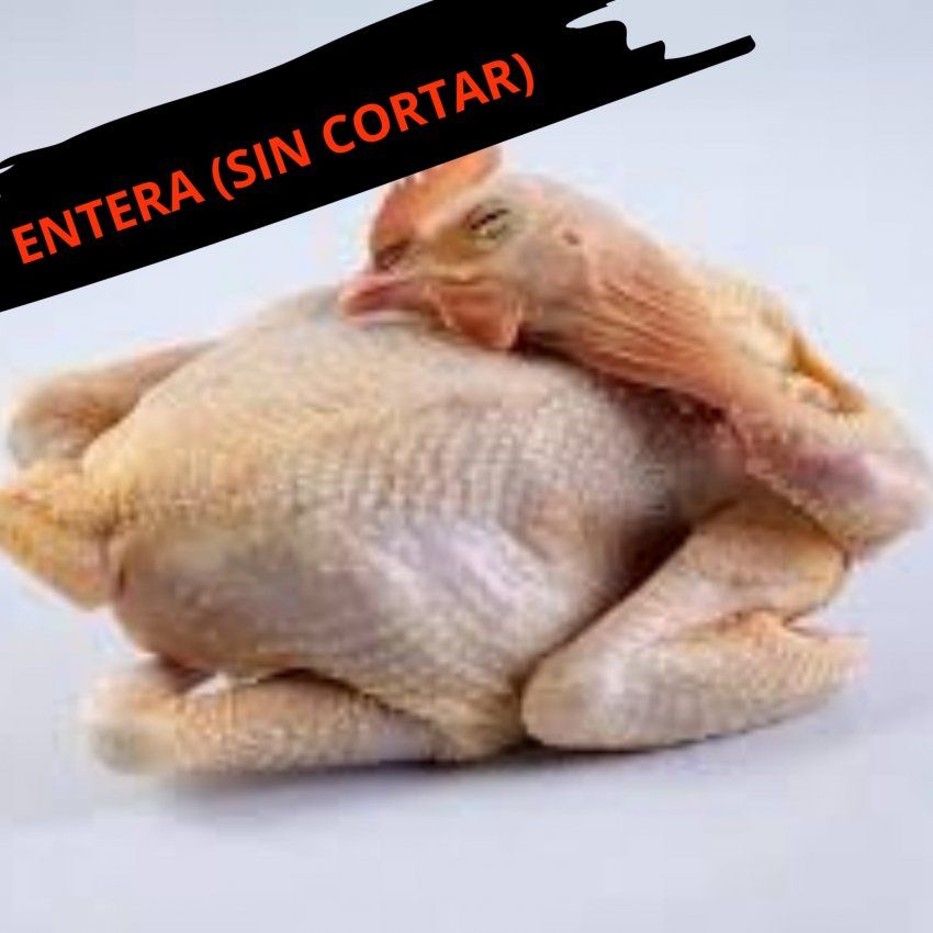 GALLINA SENCERA (unidat)