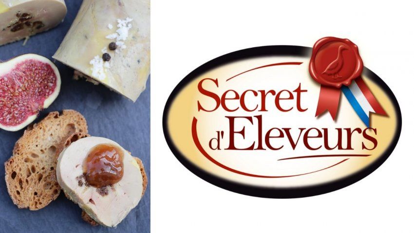 c2b552e3c4308a125e908ebff091ba6473a9028f