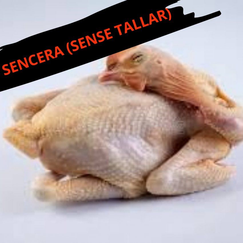 GALLINA SENCERA (unidat)