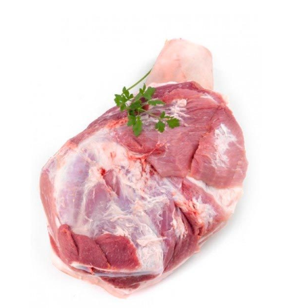 65baca7e0d3d480842371525a7511c17316ad203