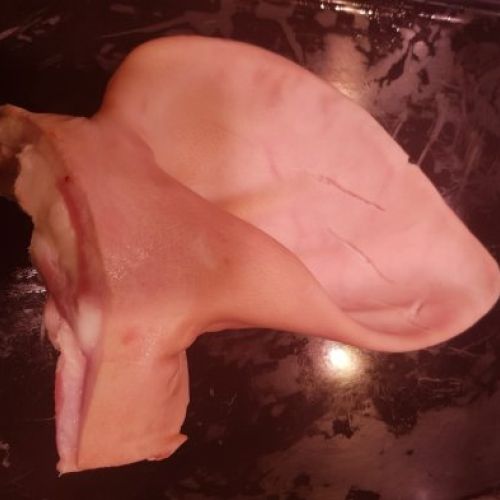 0be4b4449fc75e9eac412435c414059a47a2fa13