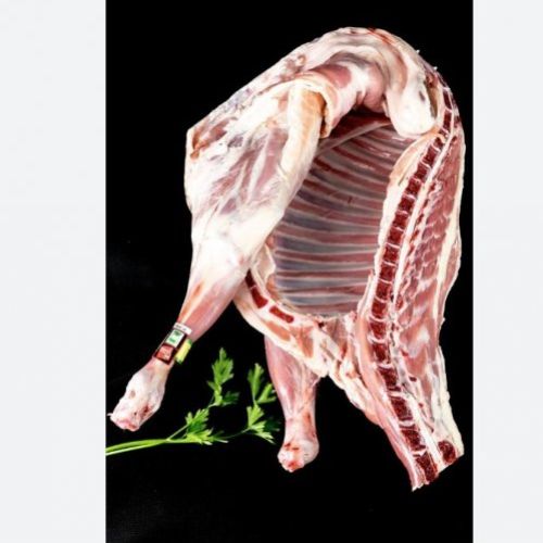 8c5fffed2c59fbc52abb6b20dfe6cc550208ce38