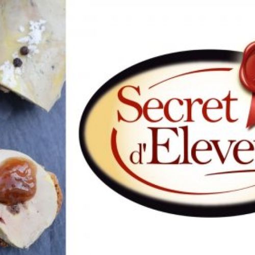 c2b552e3c4308a125e908ebff091ba6473a9028f