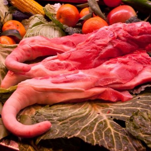 4b1dbdb57b82144295400672b4ef1d01750a1743