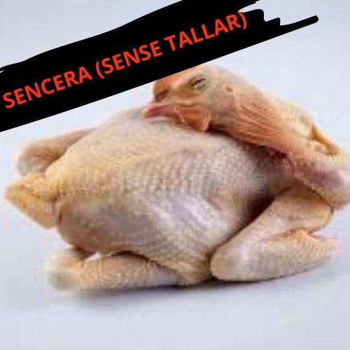 GALLINA SENCERA (unidat)