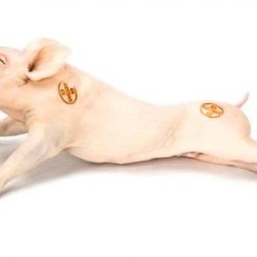 301adae23a006108ef2e2e58bd32c1560e3ca6b0