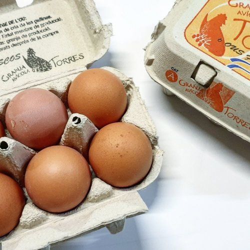 09cd97c85c736cc0ca10144223acc99feb3a2c69