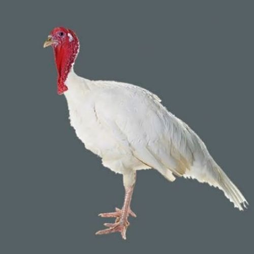 7ea86e90639e7e16033311188e7c2c3dfe7e4d2a