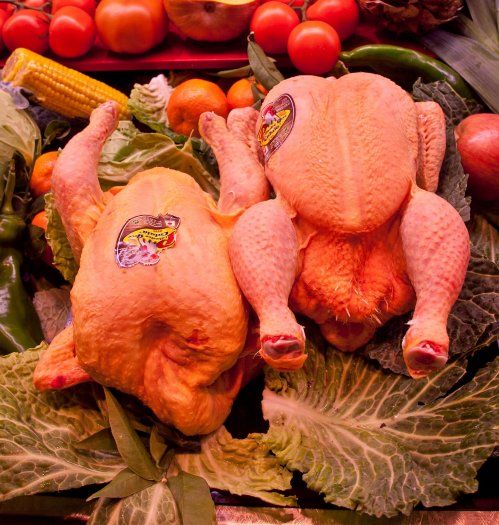 (tornar men&uacute; principal botiga online...)
Nom&eacute;s ser&agrave; viable la venda online per a les seg&uuml;ents localitats:
Cornell&agrave; de Llobregat, El Prat de Llobregat, Hospitalet de Llobregat, Esplugues de Llobregat, Sant Just Desvern, Sant Feliu de Llobregat, San Joan Desp&iacute;, Sant Boi, Santa Coloma de Cervell&oacute;, Viladecans, Gav&agrave;, Castelldefels i Barcelona (nom&eacute;s els barris Montjuic, Sants i Les Corts). Per a l'enviament a altres poblacions el repartiment es fa a trav&eacute;s de SEUR FRIO. Cal afegir l'element de despeses extres segons prov&iacute;ncia/pes en aquest link
INFORMACI&Oacute; DE COMPRA
 Si tens dubtes, pots trucar nos als n&uacute;meros  93 376 23 30 (Cornell&agrave; de Llobregat) i  93 002 21 61 (El Prat de Llobregat)
 Si vols una presentaci&oacute; o tipus de tall espec&iacute;fic, haur&agrave;s d'indicar en el camp de comentaris al finalitzar en el proc&eacute;s de compra.